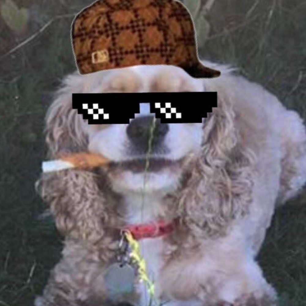 Meet your Posher, Tm